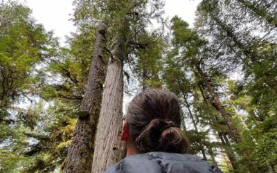 Vancouver Island
